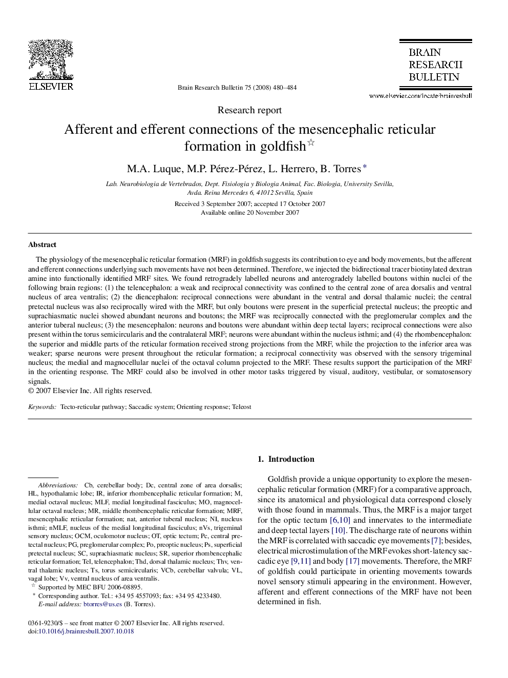 Afferent and efferent connections of the mesencephalic reticular formation in goldfish 