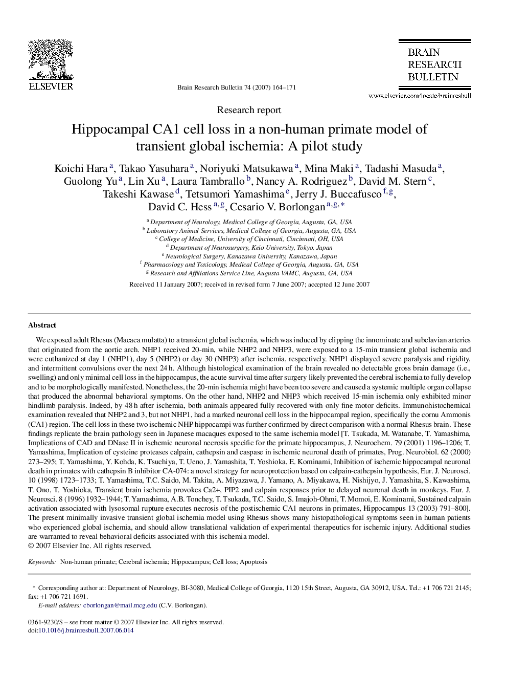 Hippocampal CA1 cell loss in a non-human primate model of transient global ischemia: A pilot study