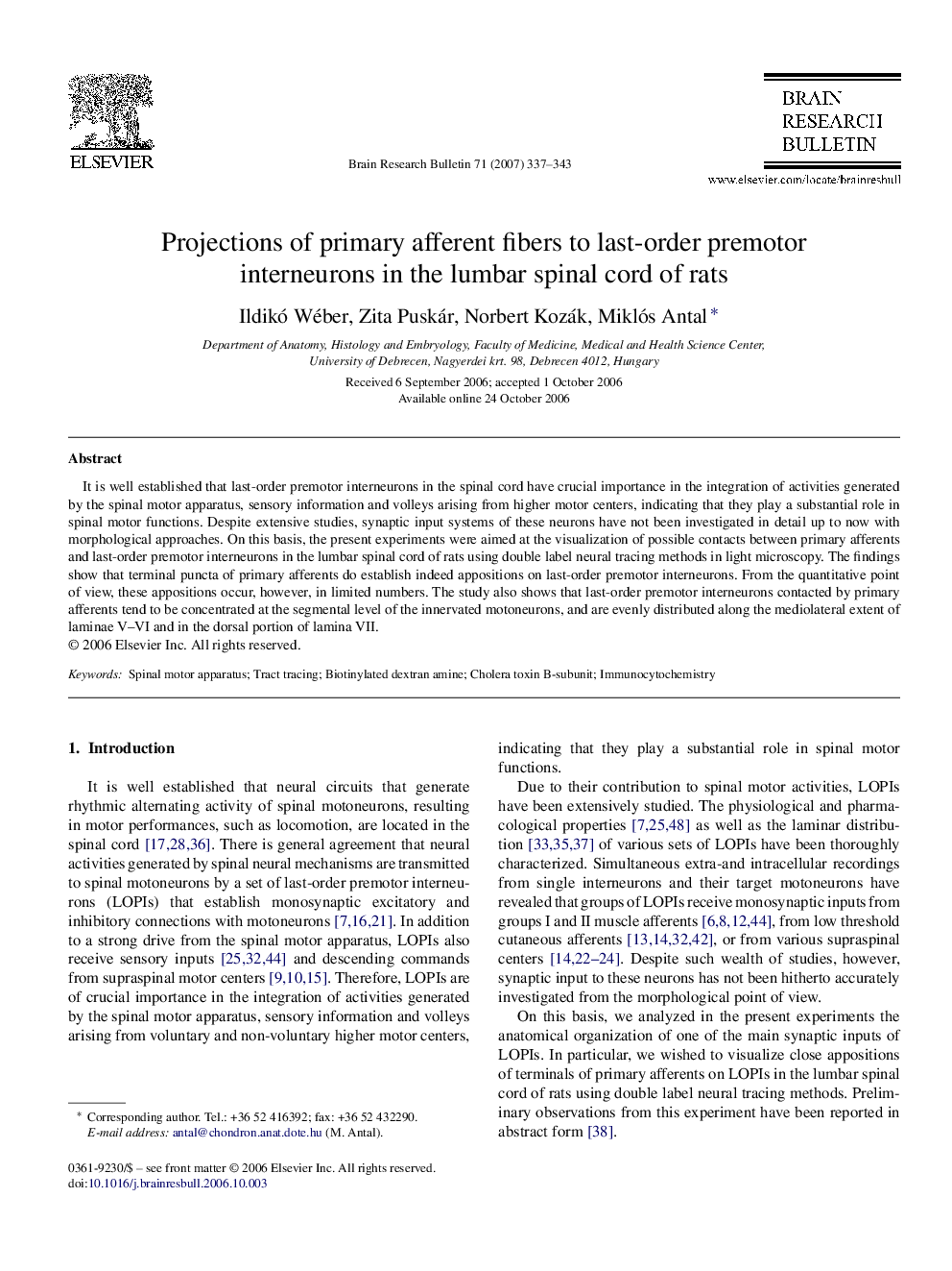 Projections of primary afferent fibers to last-order premotor interneurons in the lumbar spinal cord of rats