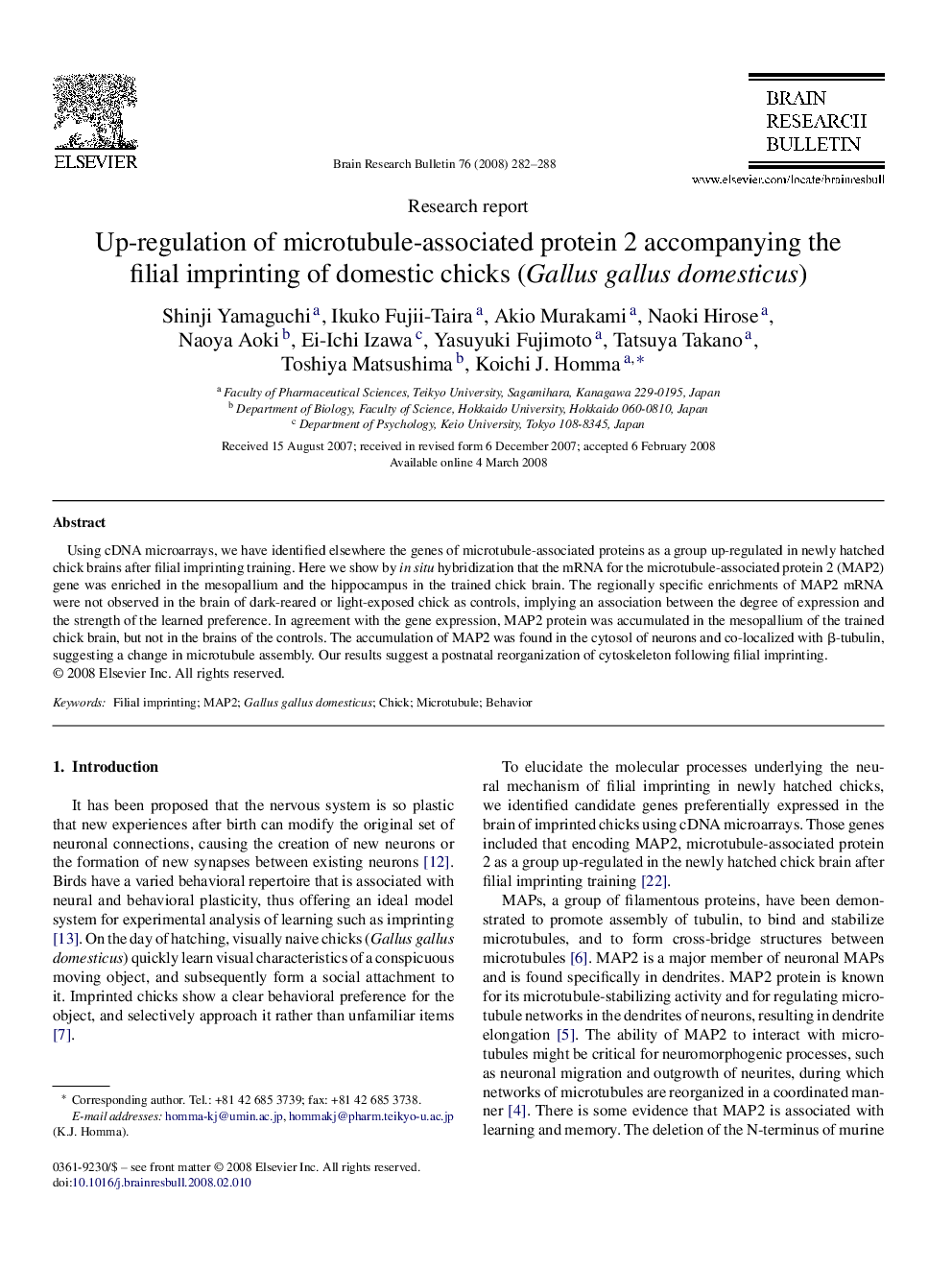 Up-regulation of microtubule-associated protein 2 accompanying the filial imprinting of domestic chicks (Gallus gallus domesticus)