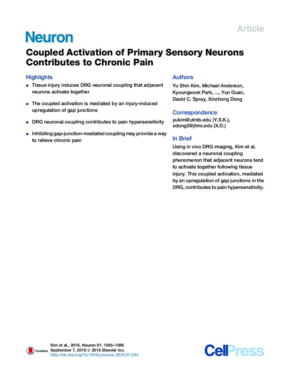 Coupled Activation of Primary Sensory Neurons Contributes to Chronic Pain