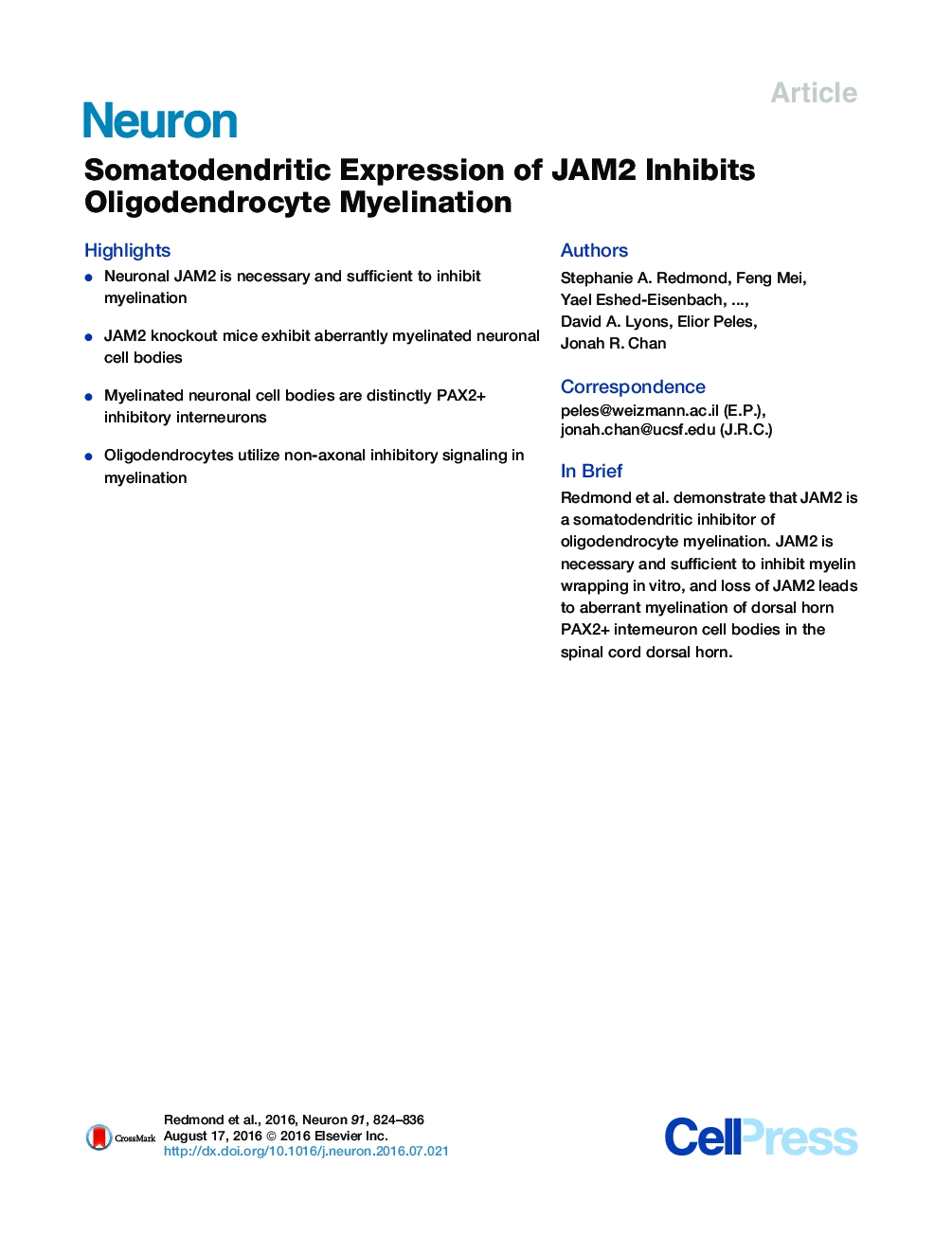 Somatodendritic Expression of JAM2 Inhibits Oligodendrocyte Myelination
