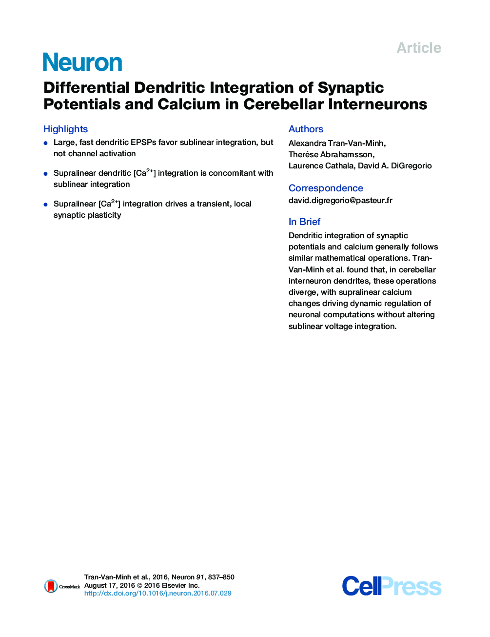 Differential Dendritic Integration of Synaptic Potentials and Calcium in Cerebellar Interneurons