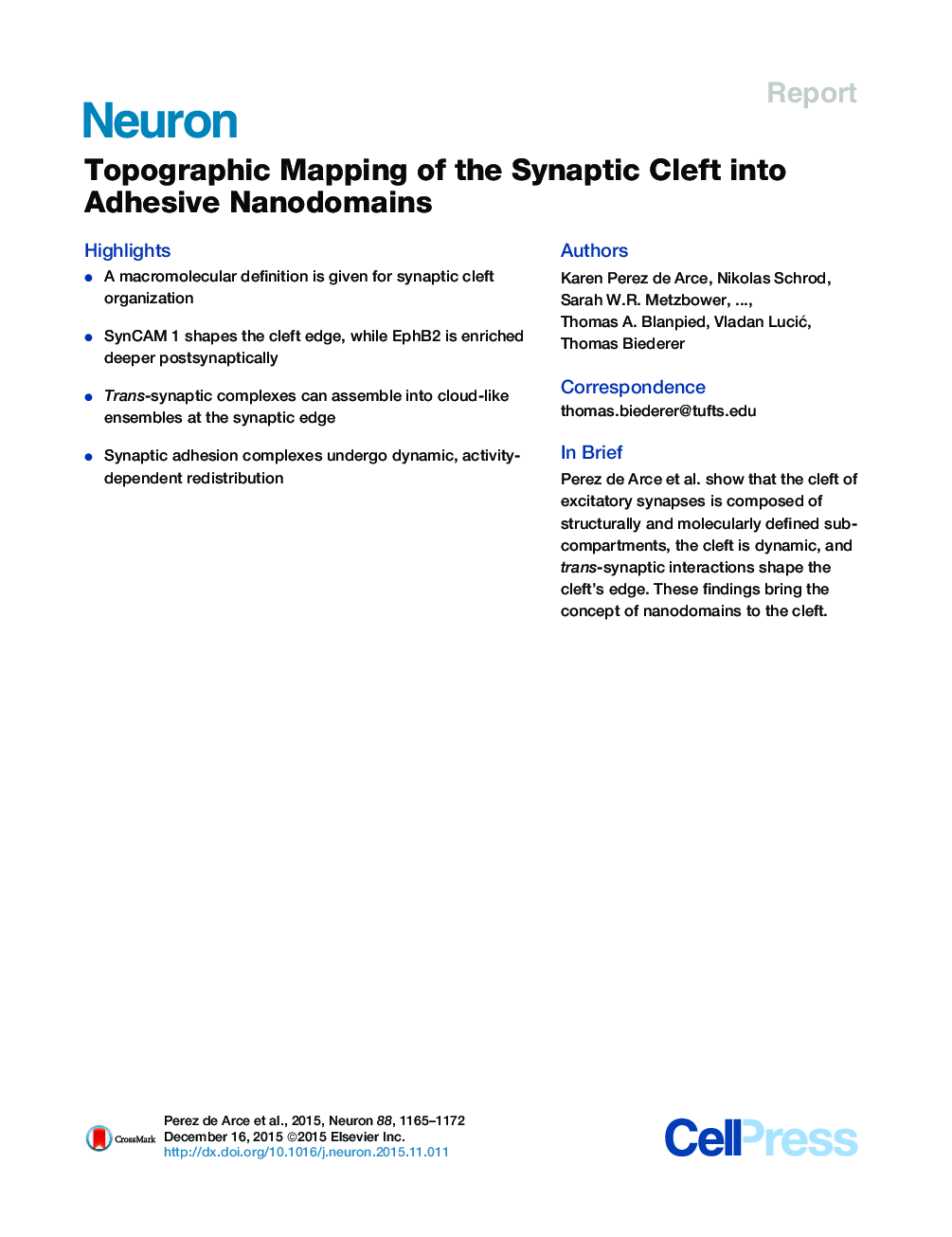 Topographic Mapping of the Synaptic Cleft into Adhesive Nanodomains