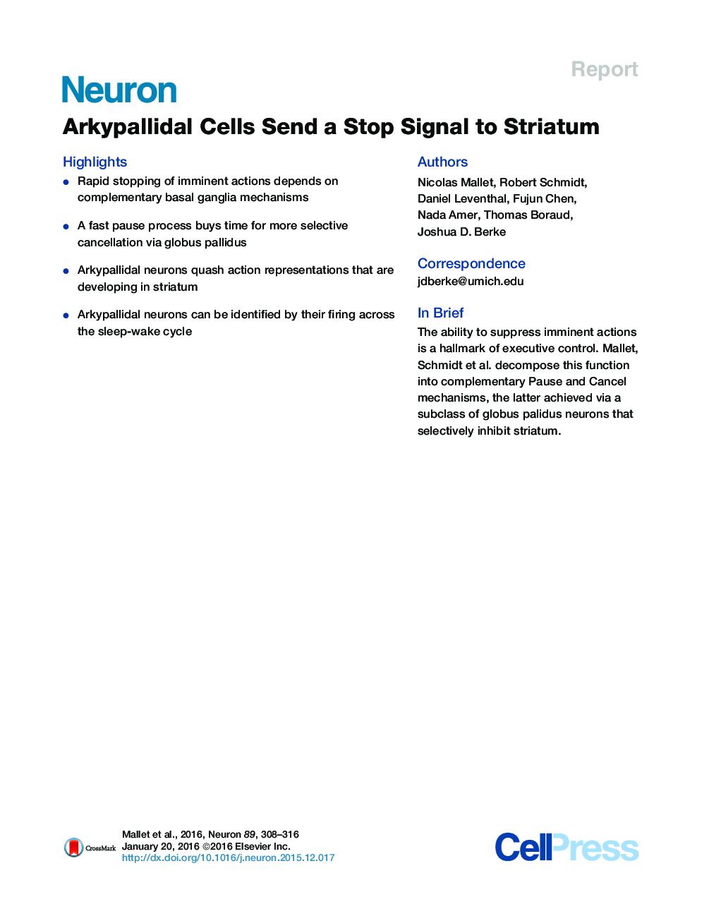 Arkypallidal Cells Send a Stop Signal to Striatum