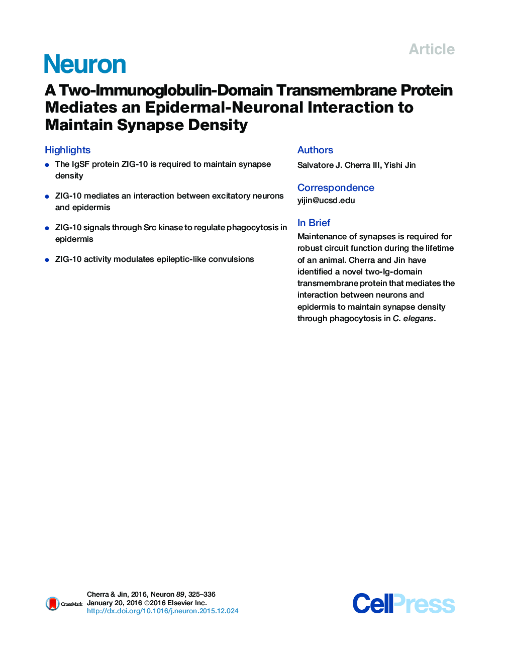 A Two-Immunoglobulin-Domain Transmembrane Protein Mediates an Epidermal-Neuronal Interaction to Maintain Synapse Density