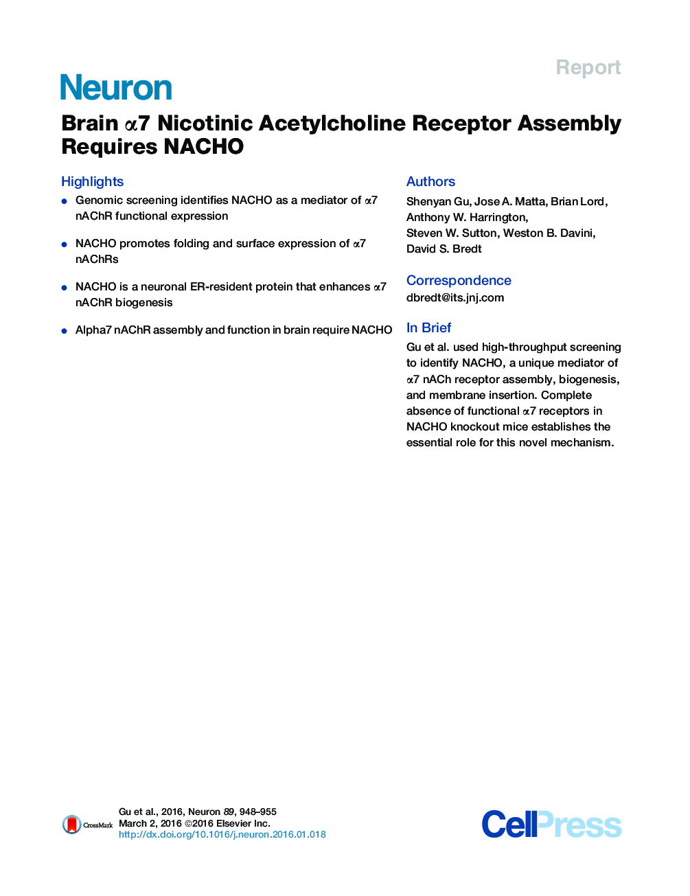 Brain α7 Nicotinic Acetylcholine Receptor Assembly Requires NACHO