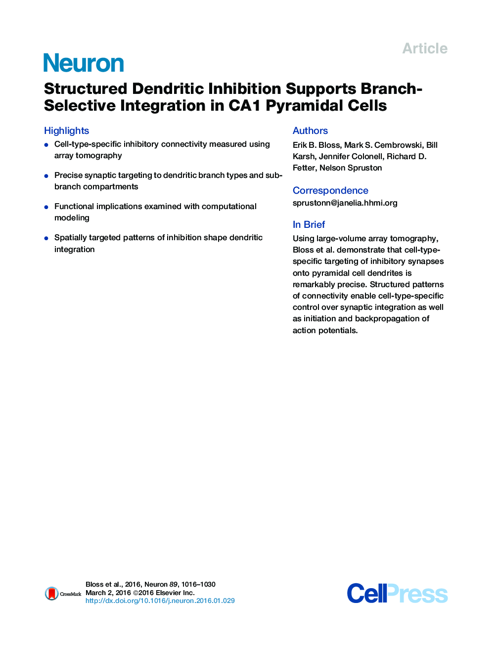 Structured Dendritic Inhibition Supports Branch-Selective Integration in CA1 Pyramidal Cells