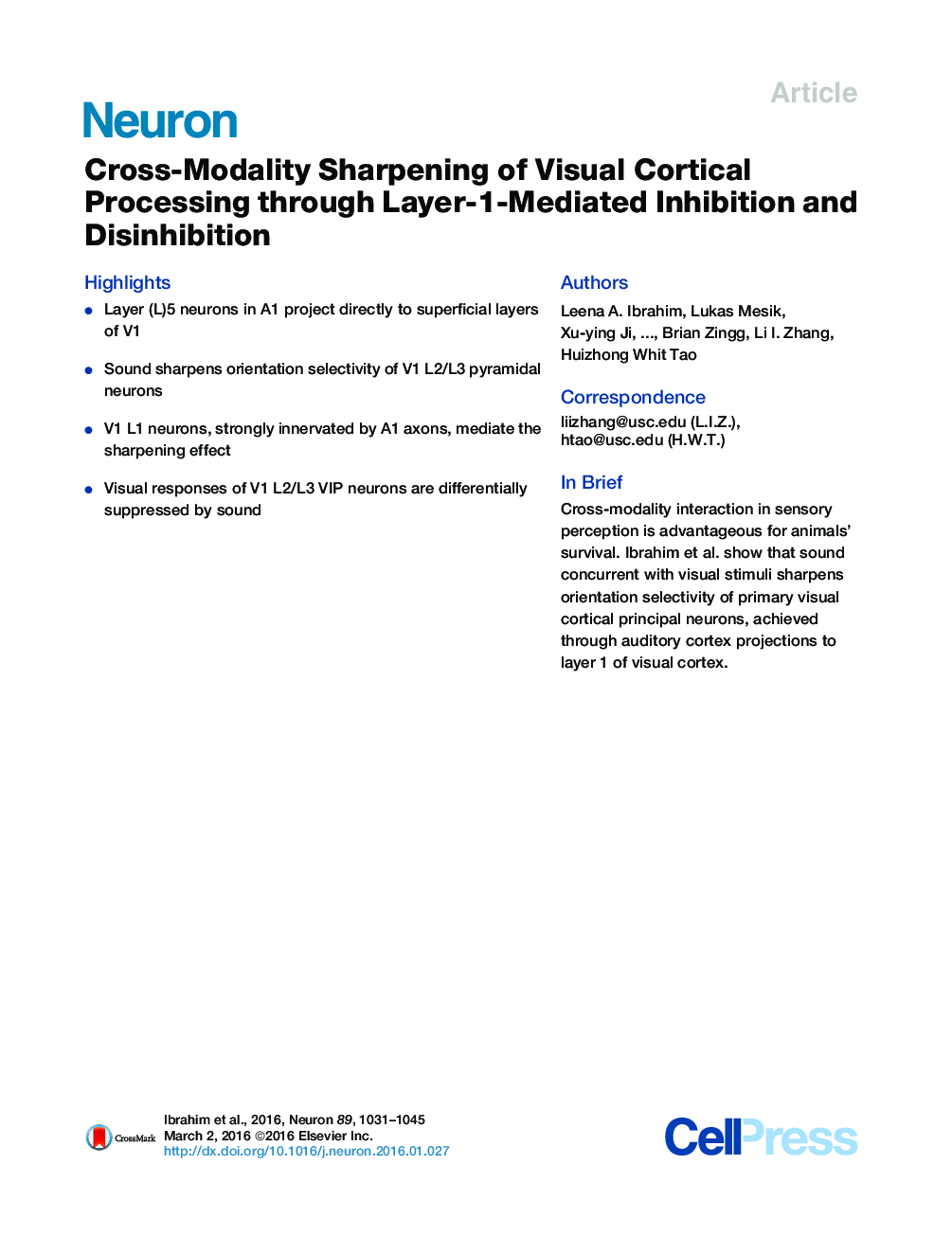 Cross-Modality Sharpening of Visual Cortical Processing through Layer-1-Mediated Inhibition and Disinhibition