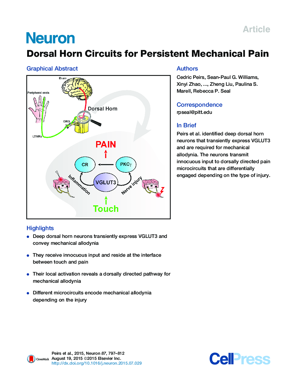 Dorsal Horn Circuits for Persistent Mechanical Pain