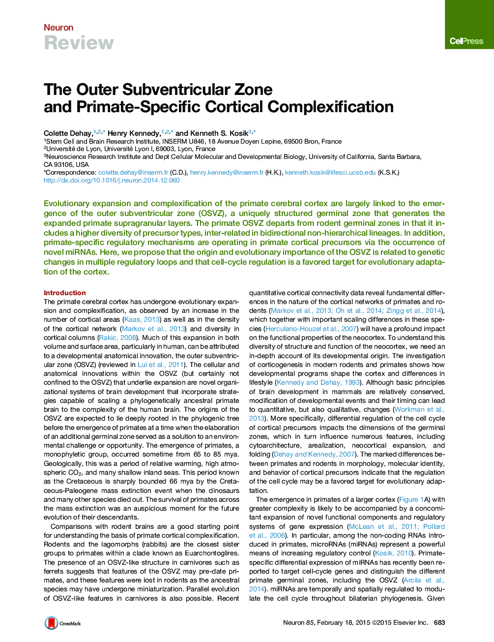 The Outer Subventricular Zone and Primate-Specific Cortical Complexification