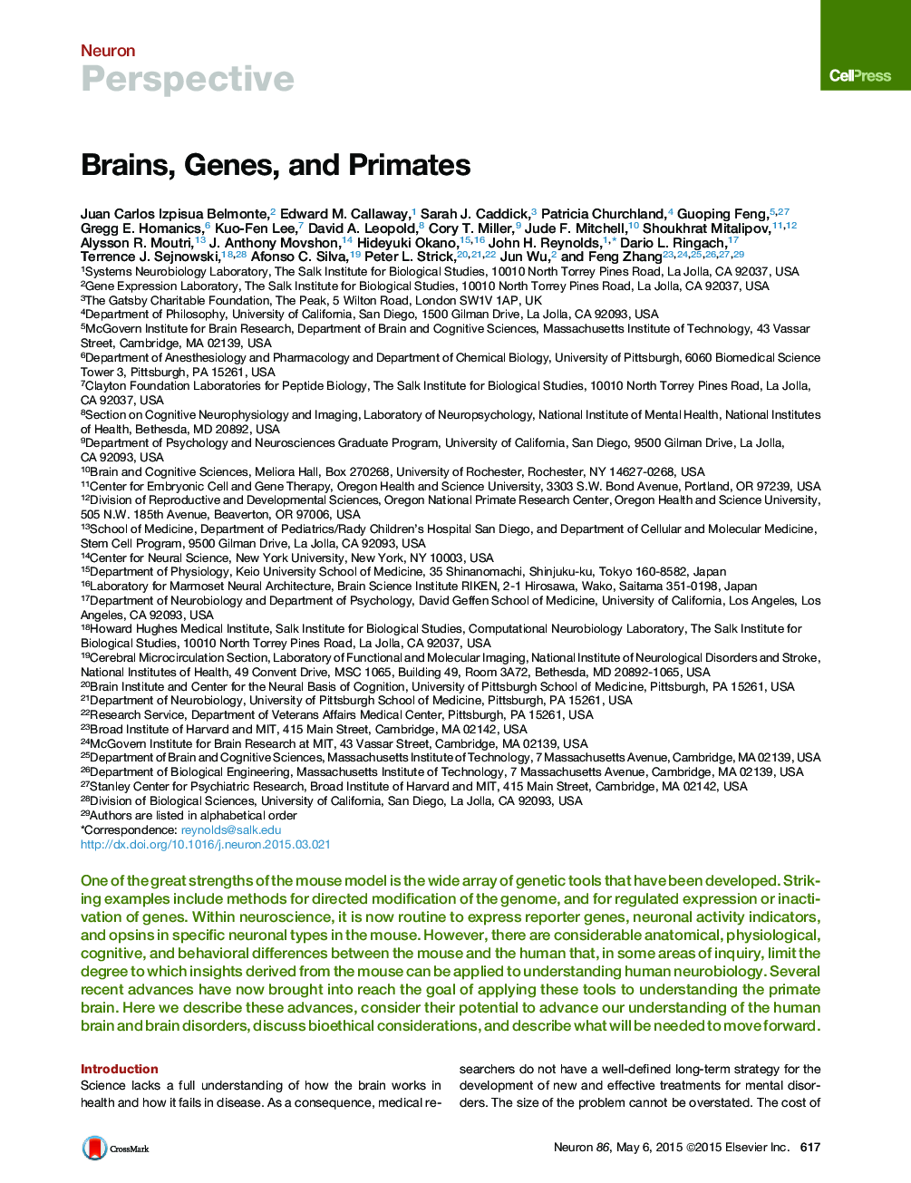 Brains, Genes, and Primates
