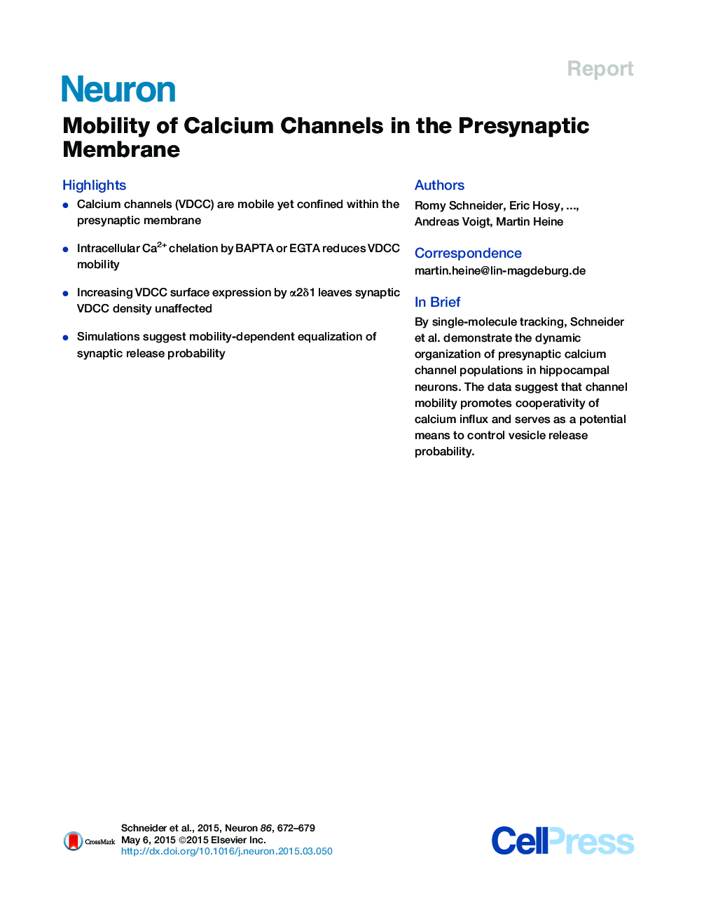 Mobility of Calcium Channels in the Presynaptic Membrane