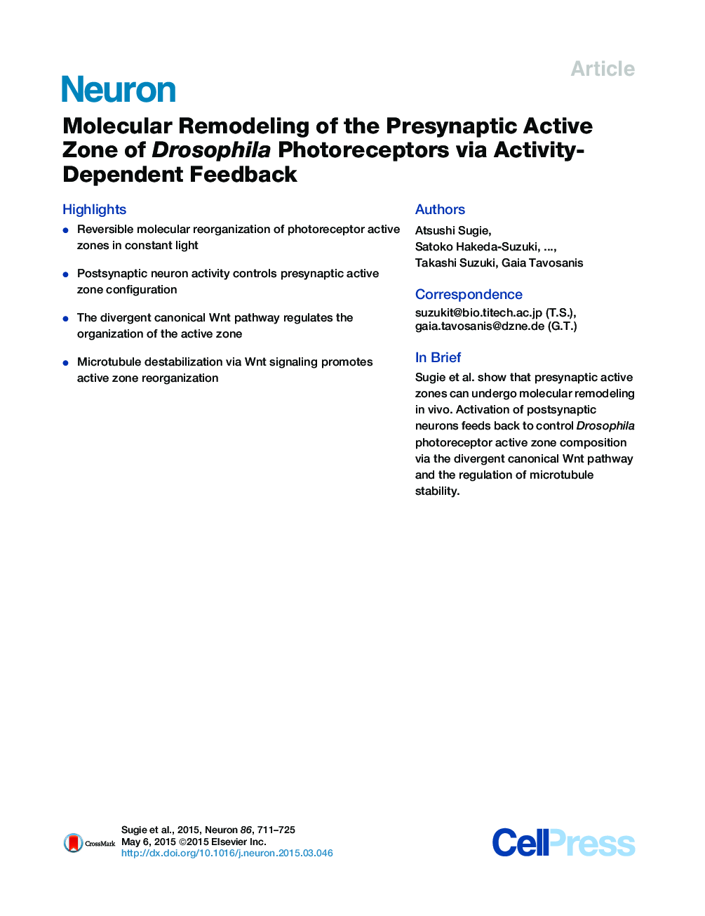 Molecular Remodeling of the Presynaptic Active Zone of Drosophila Photoreceptors via Activity-Dependent Feedback