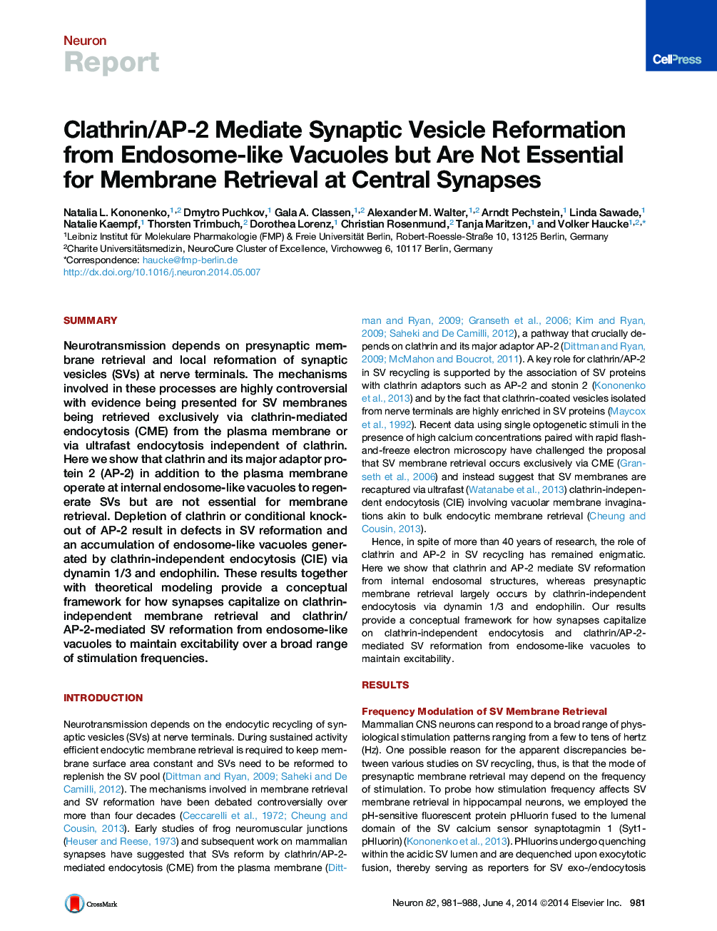 Clathrin/AP-2 Mediate Synaptic Vesicle Reformation from Endosome-like Vacuoles but Are Not Essential for Membrane Retrieval at Central Synapses