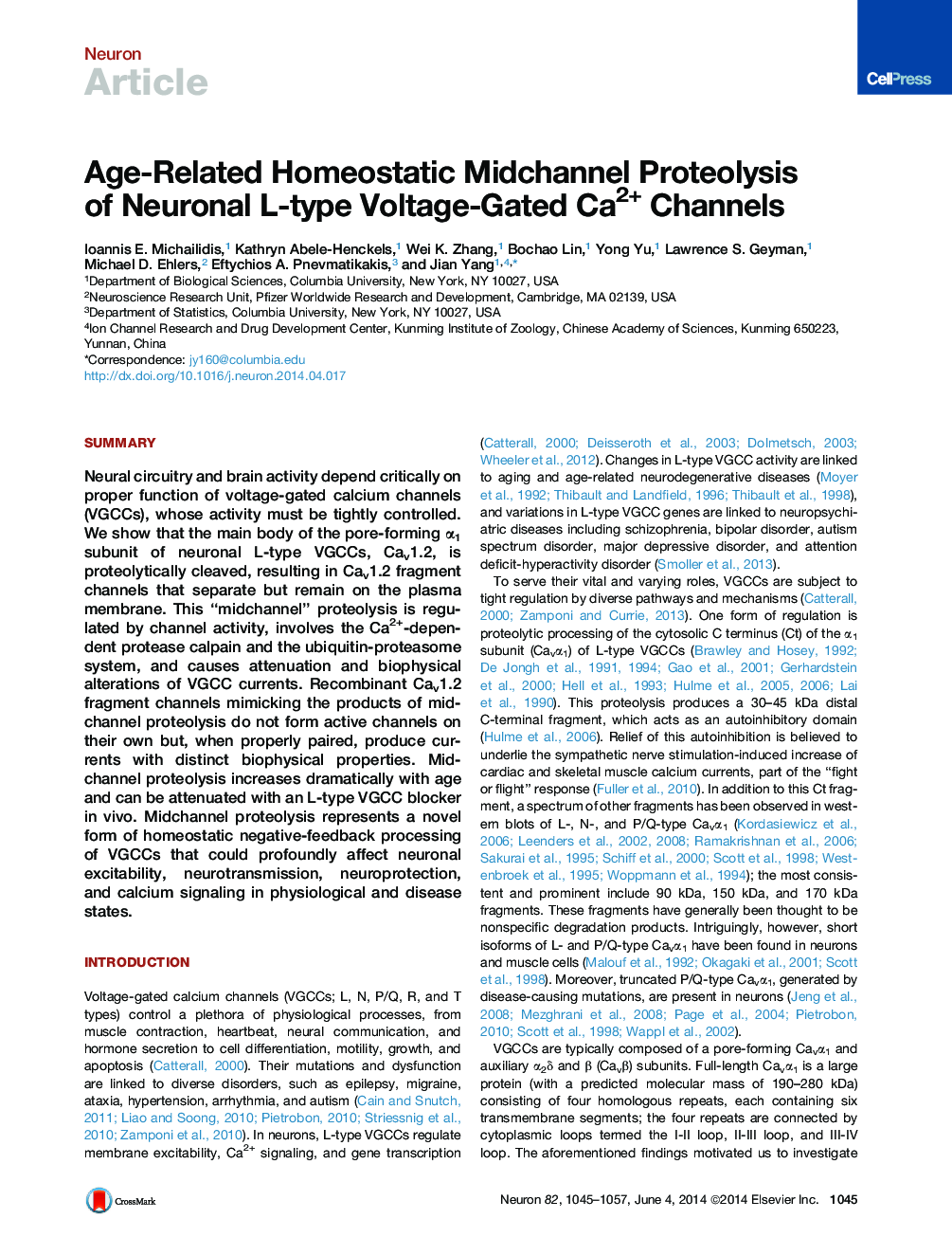 Age-Related Homeostatic Midchannel Proteolysis of Neuronal L-type Voltage-Gated Ca2+ Channels