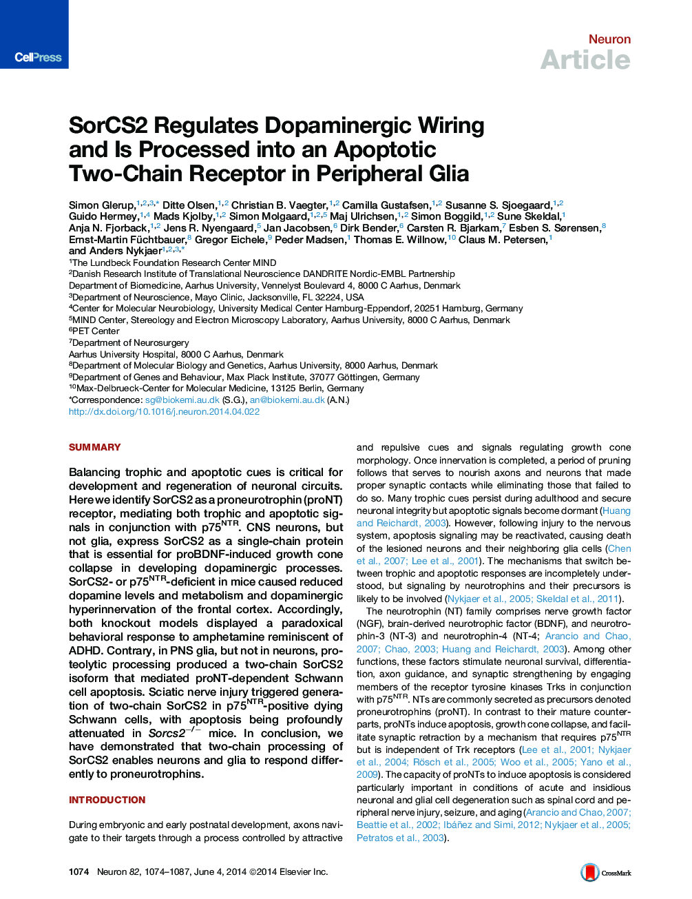 SorCS2 Regulates Dopaminergic Wiring and Is Processed into an Apoptotic Two-Chain Receptor in Peripheral Glia