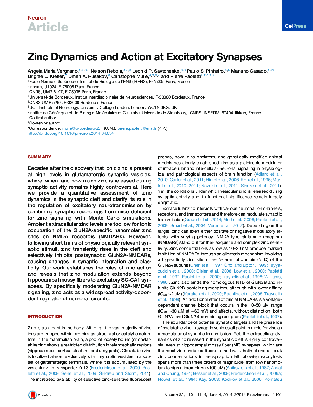 Zinc Dynamics and Action at Excitatory Synapses