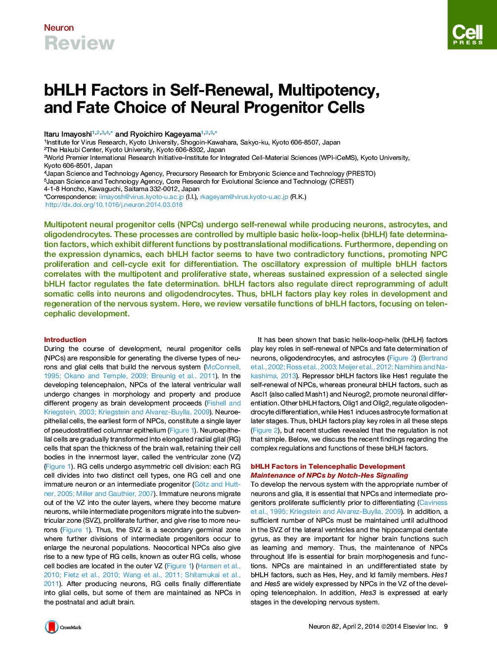 bHLH Factors in Self-Renewal, Multipotency, and Fate Choice of Neural Progenitor Cells