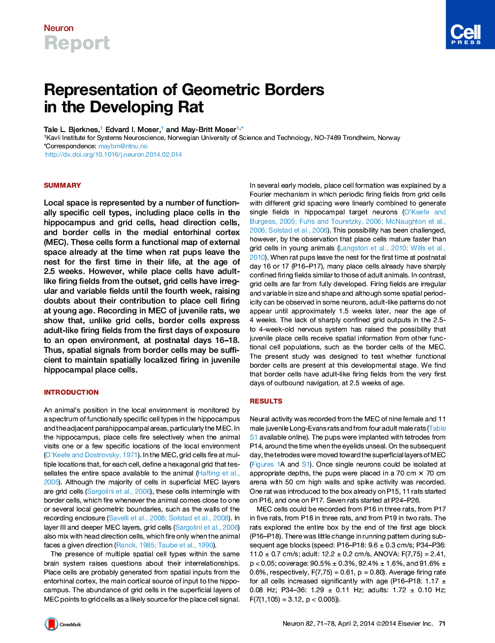 Representation of Geometric Borders in the Developing Rat