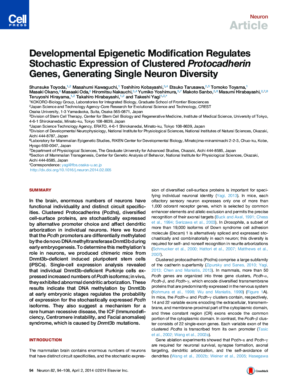 Developmental Epigenetic Modification Regulates Stochastic Expression of Clustered Protocadherin Genes, Generating Single Neuron Diversity