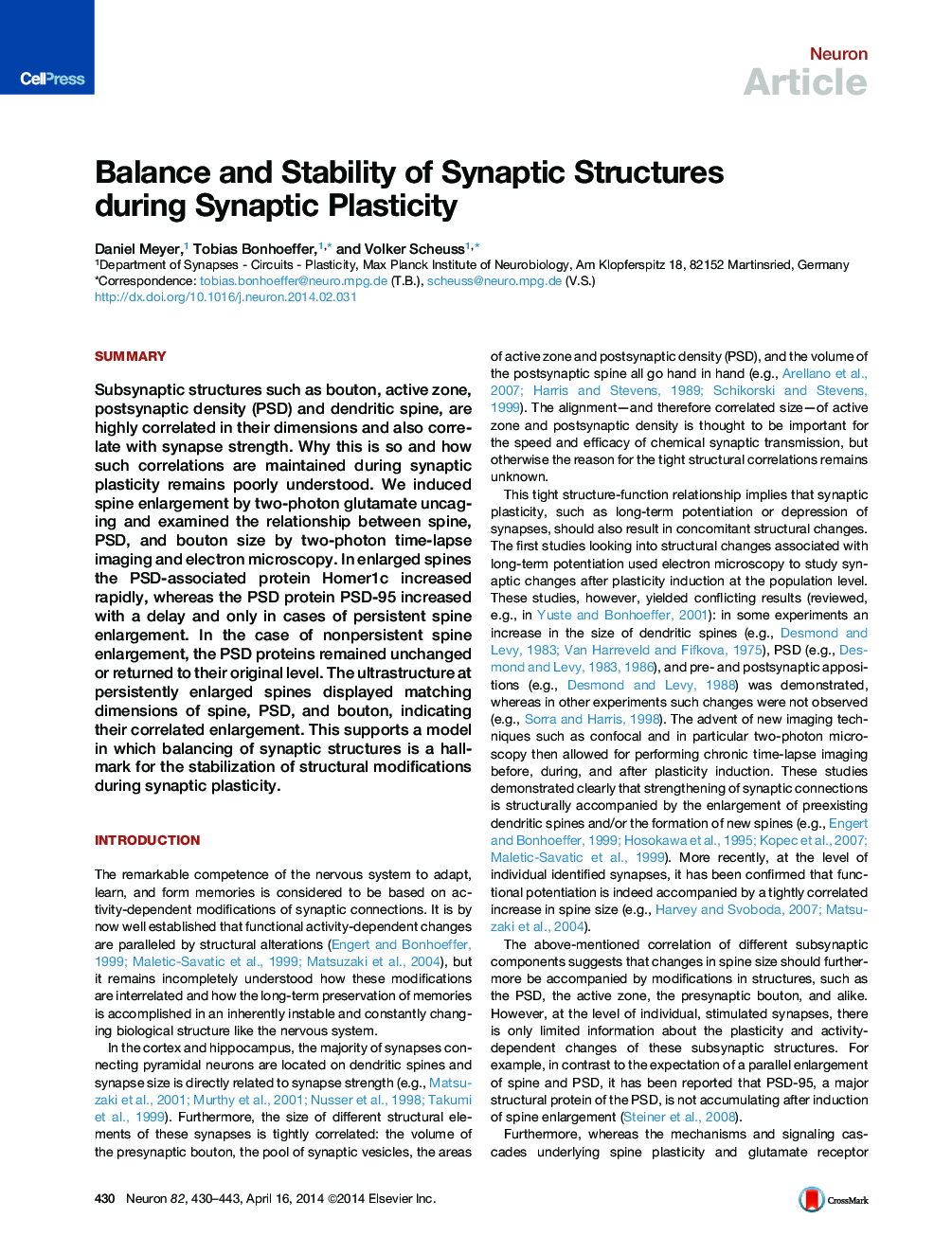 Balance and Stability of Synaptic Structures during Synaptic Plasticity
