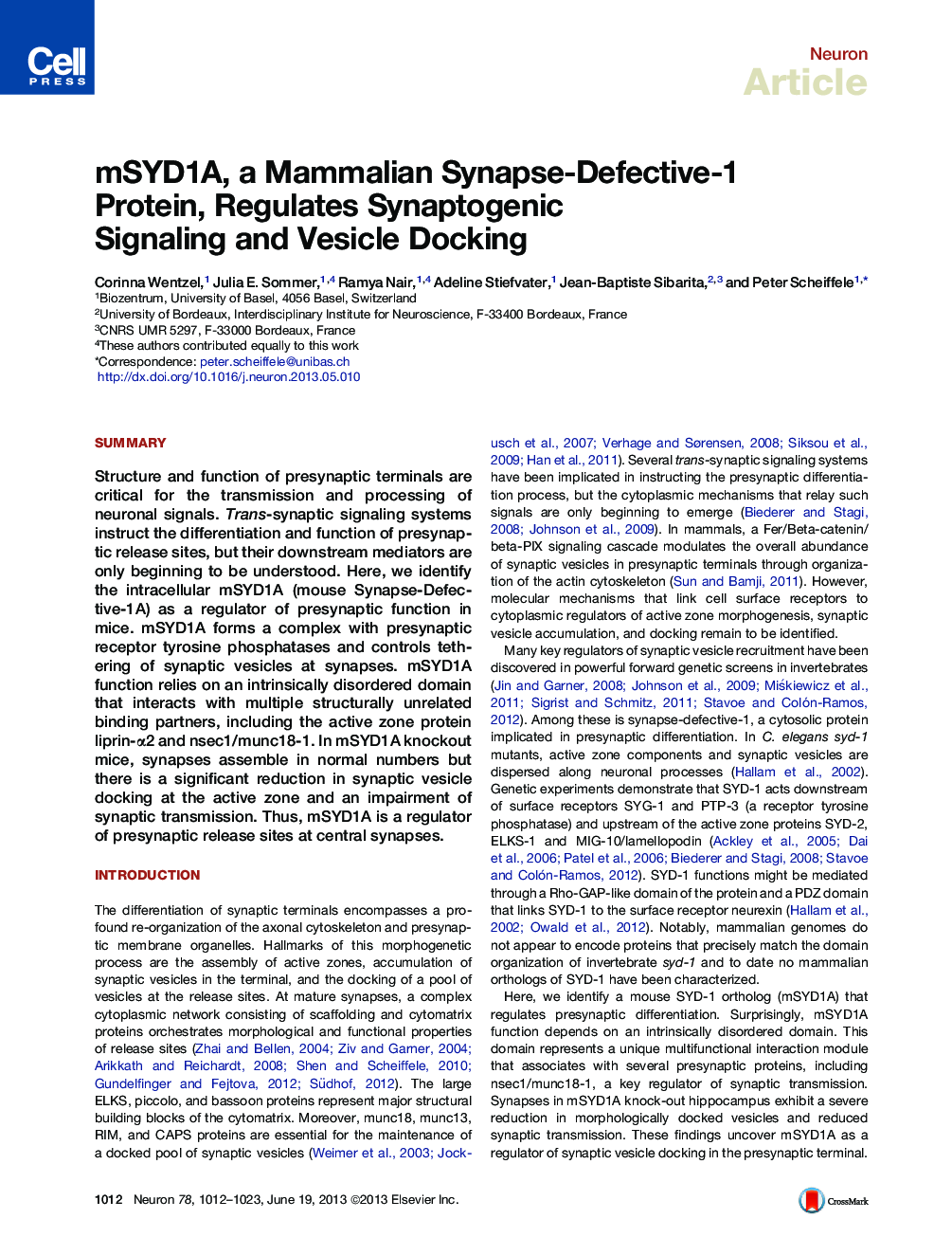 mSYD1A, a Mammalian Synapse-Defective-1 Protein, Regulates Synaptogenic Signaling and Vesicle Docking