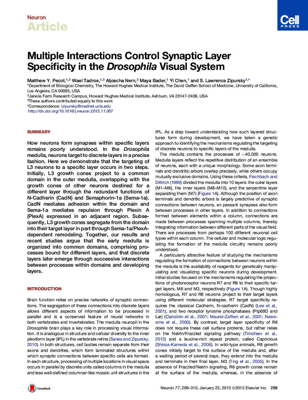 Multiple Interactions Control Synaptic Layer Specificity in the Drosophila Visual System