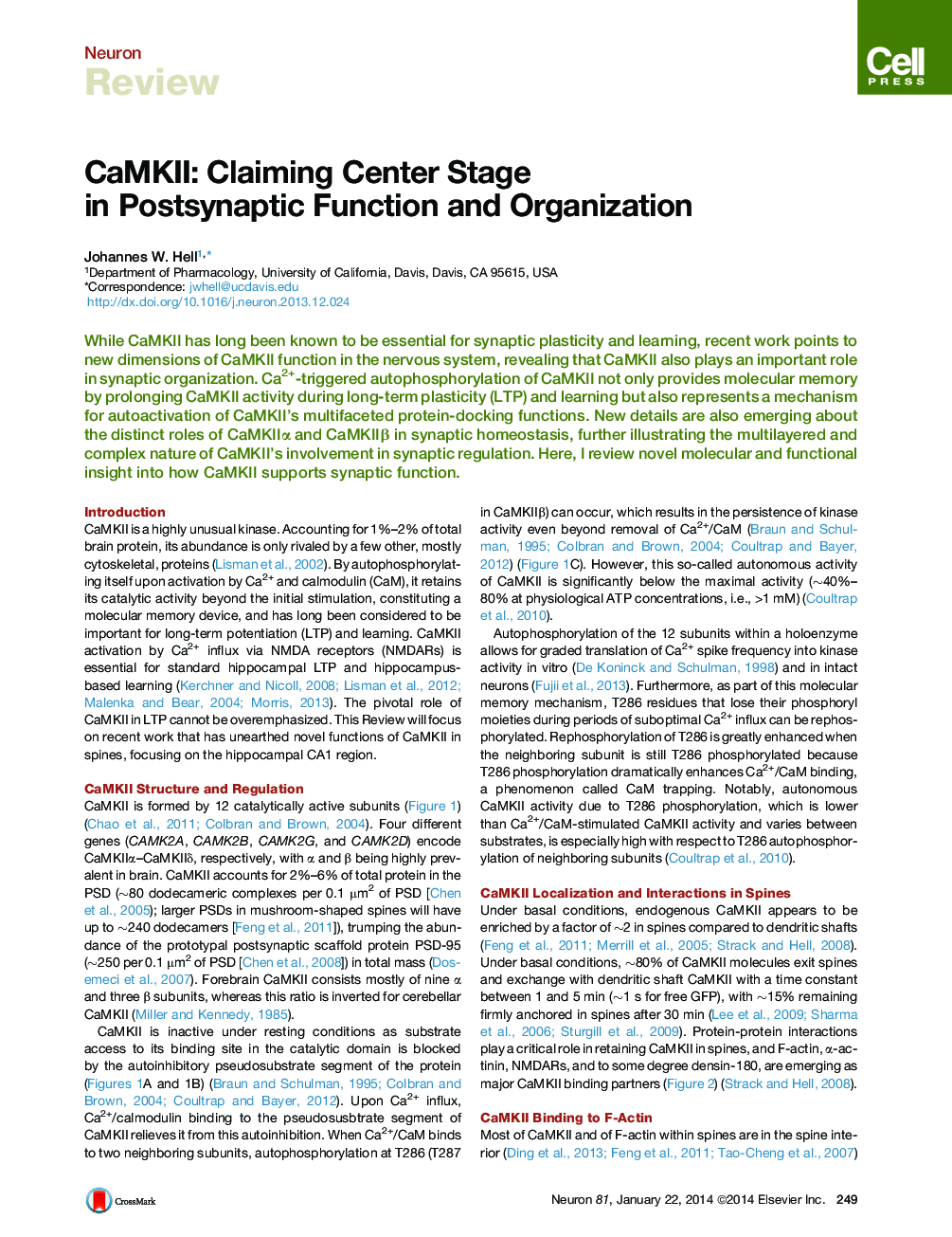 CaMKII: Claiming Center Stage in Postsynaptic Function and Organization