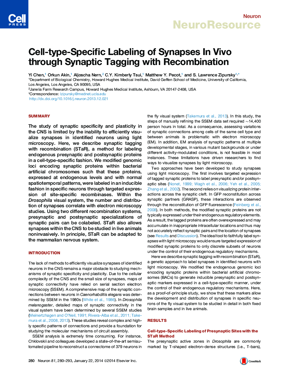 Cell-type-Specific Labeling of Synapses In Vivo through Synaptic Tagging with Recombination