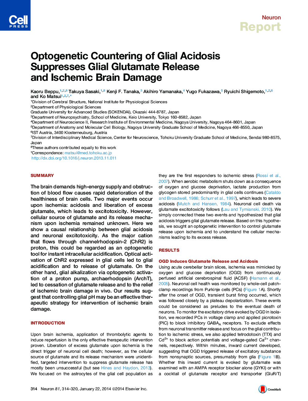 Optogenetic Countering of Glial Acidosis Suppresses Glial Glutamate Release and Ischemic Brain Damage