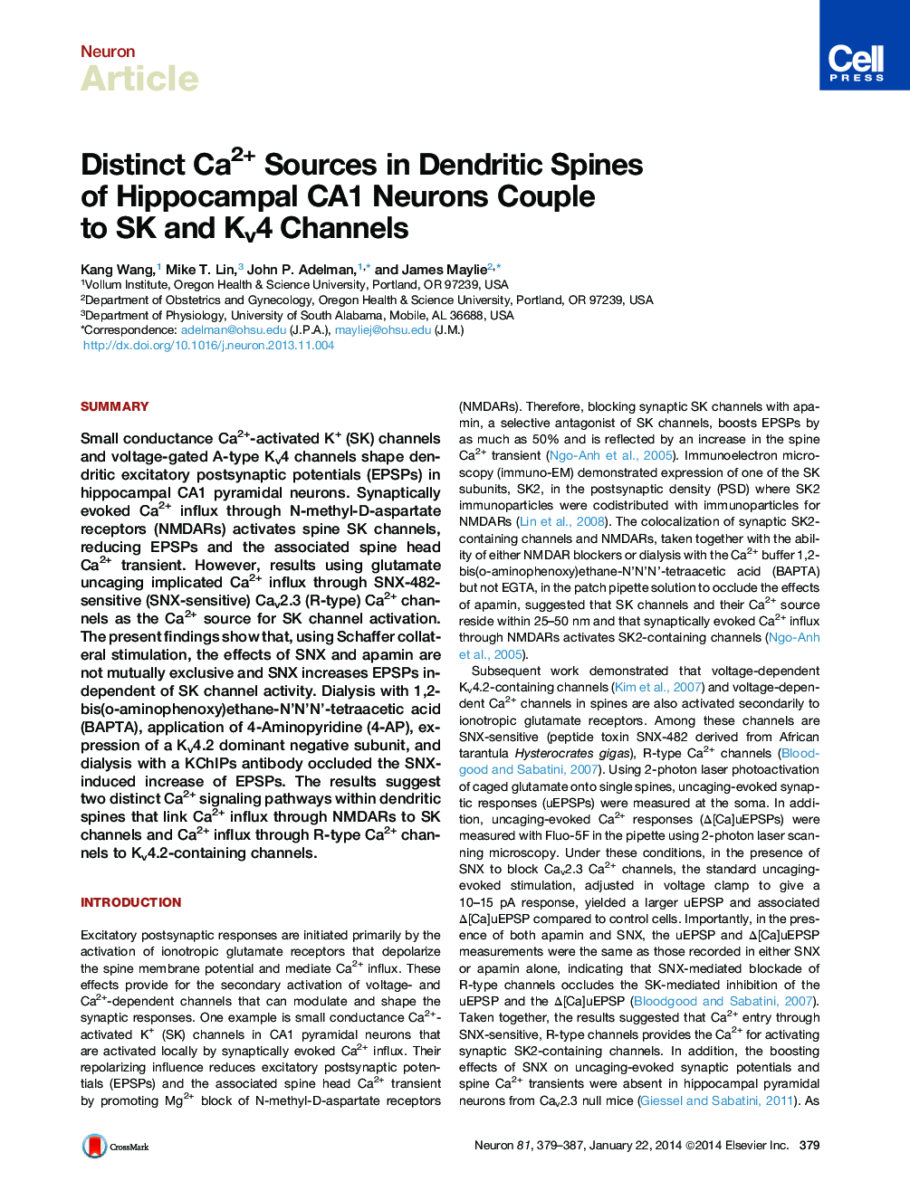 Distinct Ca2+ Sources in Dendritic Spines of Hippocampal CA1 Neurons Couple to SK and Kv4 Channels