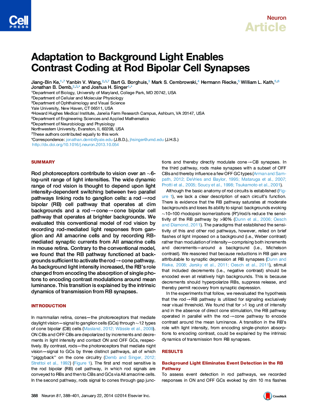 Adaptation to Background Light Enables Contrast Coding at Rod Bipolar Cell Synapses