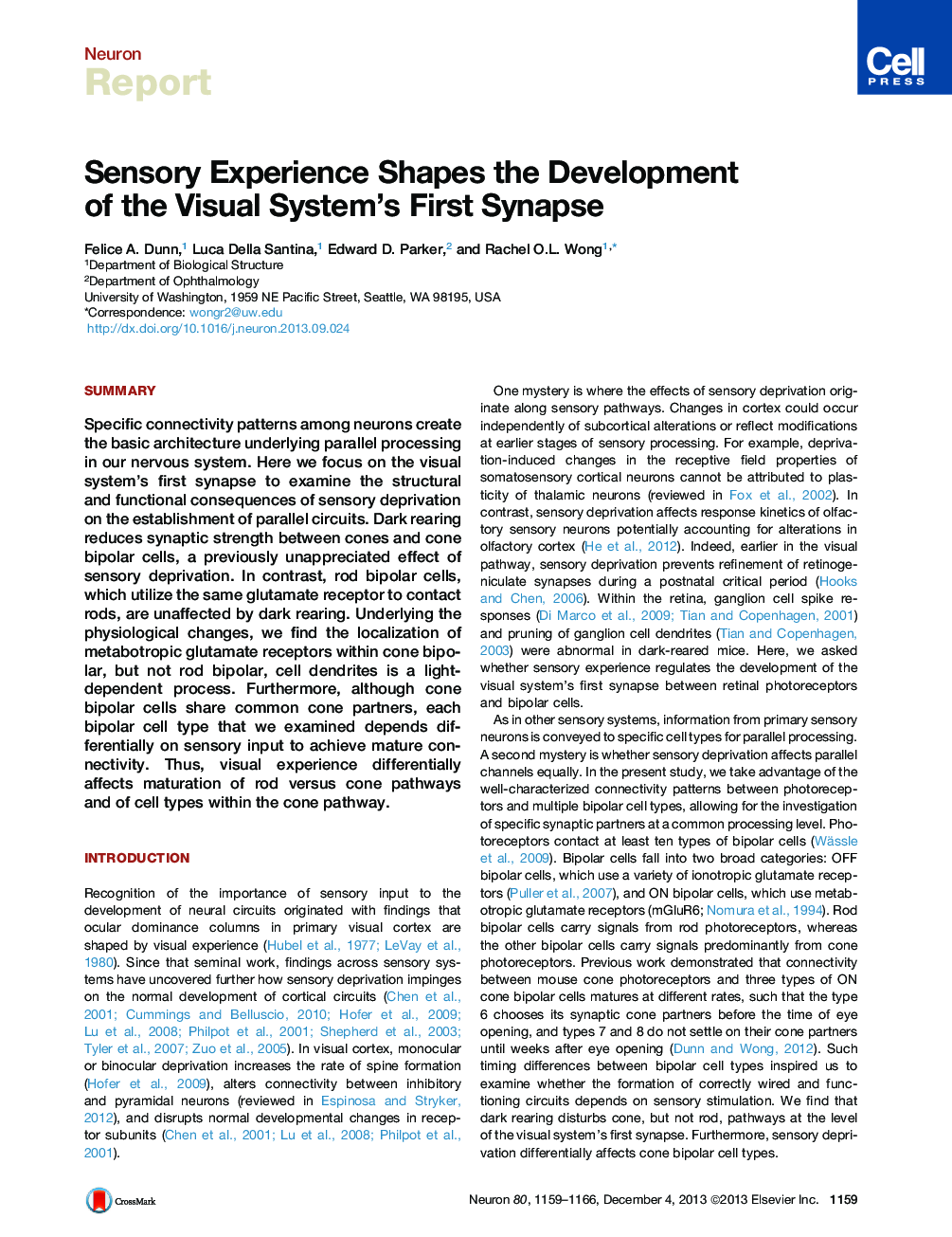 Sensory Experience Shapes the Development of the Visual System’s First Synapse