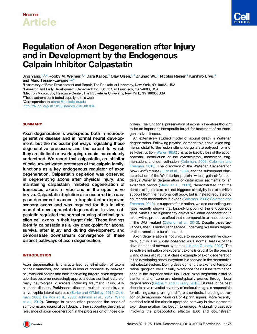 Regulation of Axon Degeneration after Injury and in Development by the Endogenous Calpain Inhibitor Calpastatin