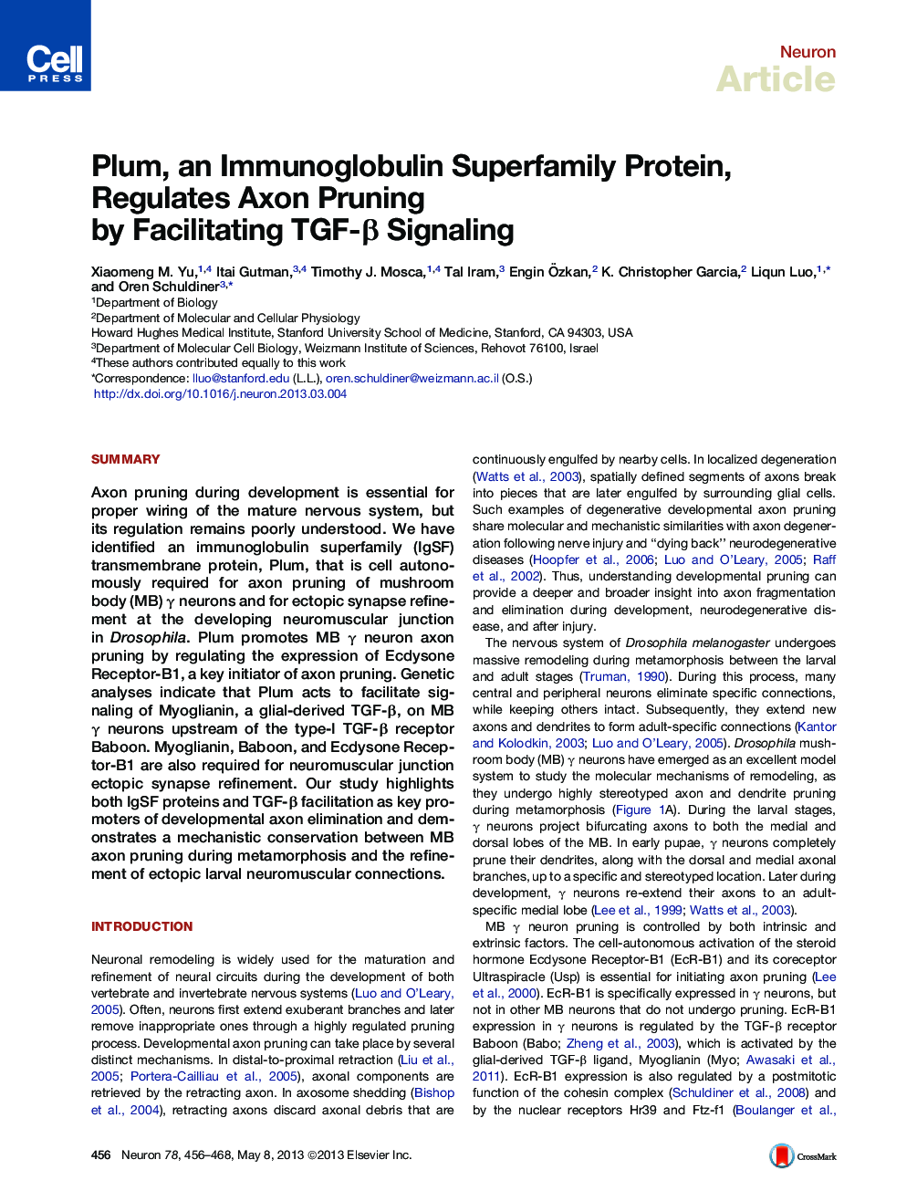 Plum, an Immunoglobulin Superfamily Protein, Regulates Axon Pruning by Facilitating TGF-β Signaling