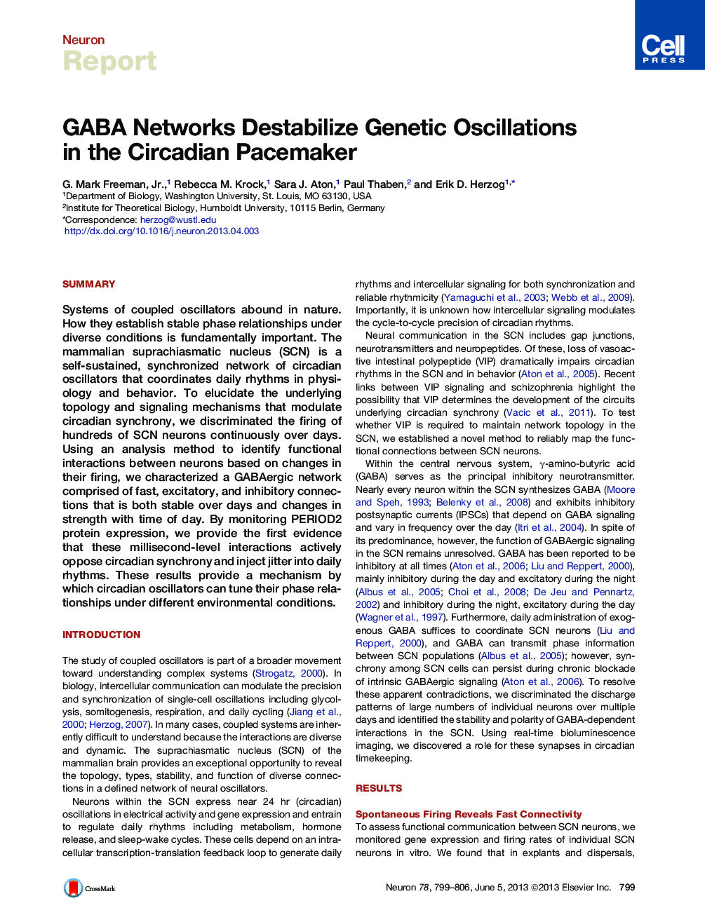 GABA Networks Destabilize Genetic Oscillations in the Circadian Pacemaker