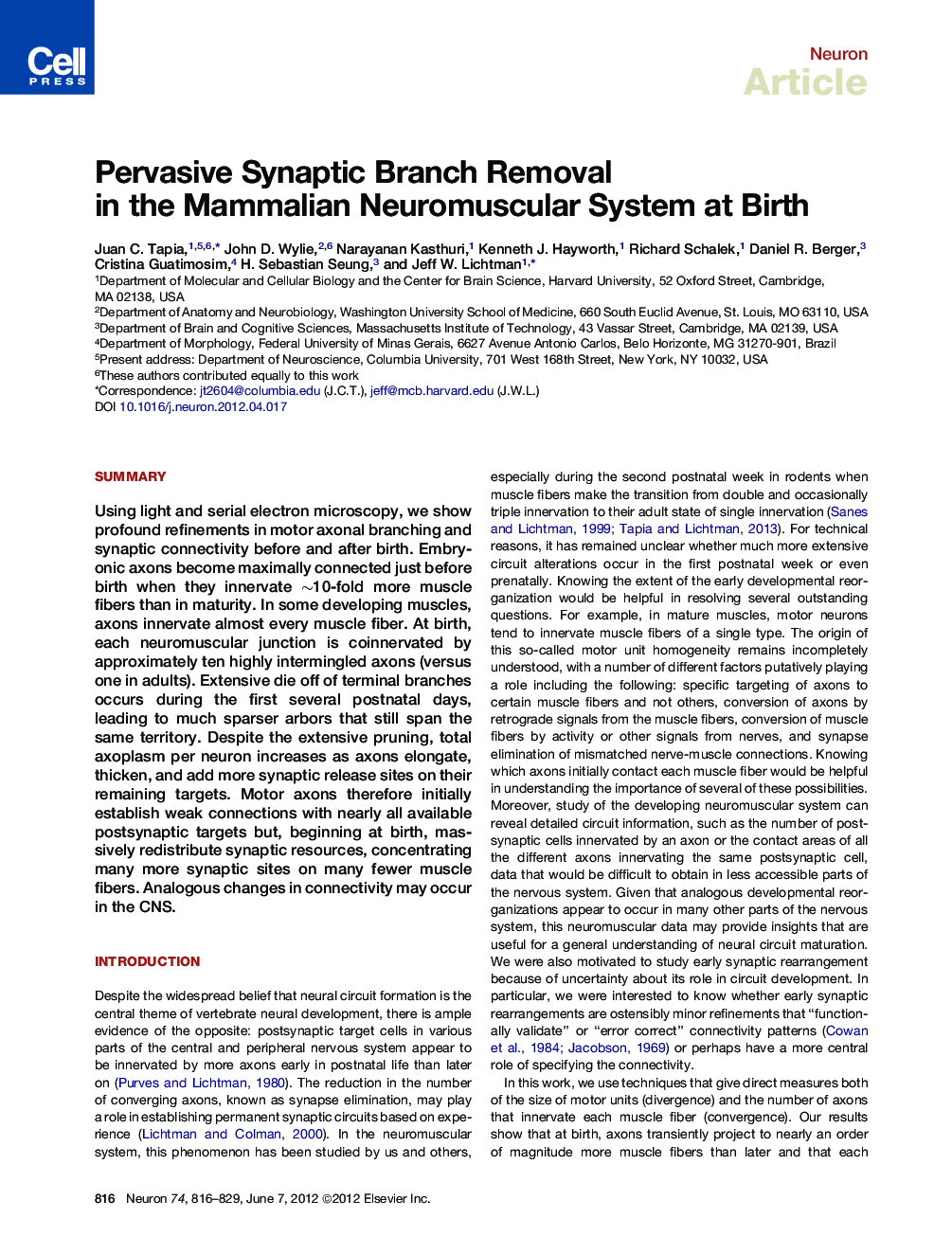 Pervasive Synaptic Branch Removal in the Mammalian Neuromuscular System at Birth