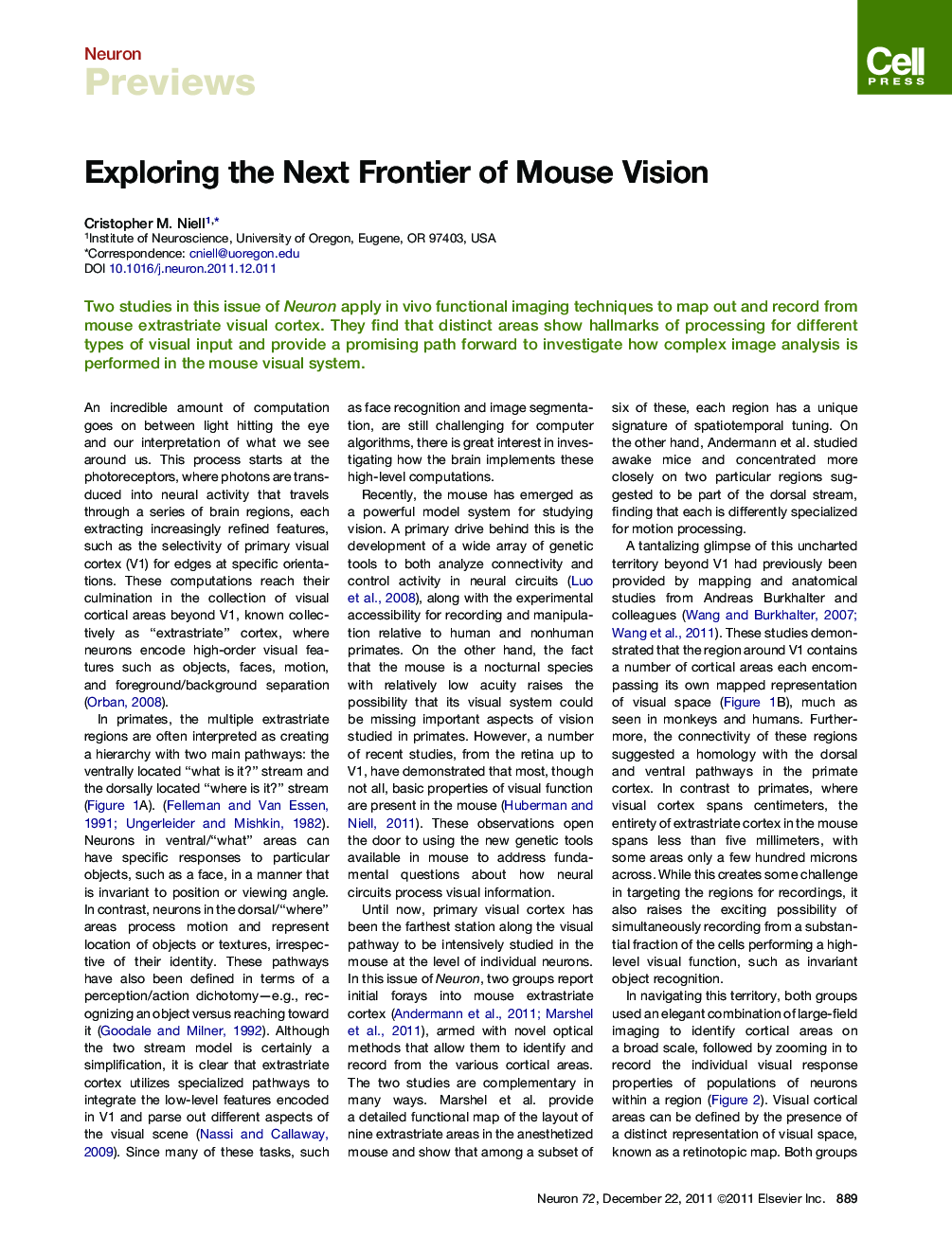 Exploring the Next Frontier of Mouse Vision