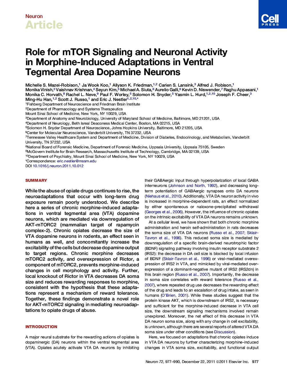 Role for mTOR Signaling and Neuronal Activity in Morphine-Induced Adaptations in Ventral Tegmental Area Dopamine Neurons
