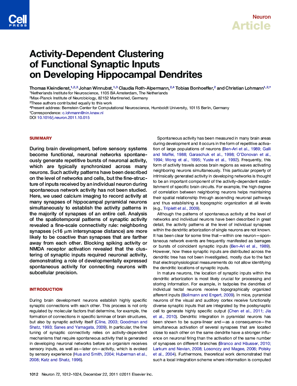 Activity-Dependent Clustering of Functional Synaptic Inputs on Developing Hippocampal Dendrites