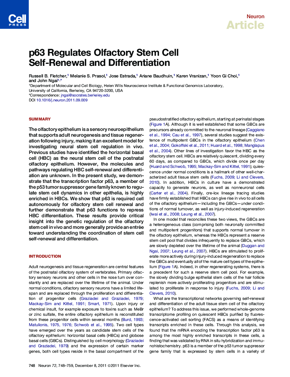 p63 Regulates Olfactory Stem Cell Self-Renewal and Differentiation