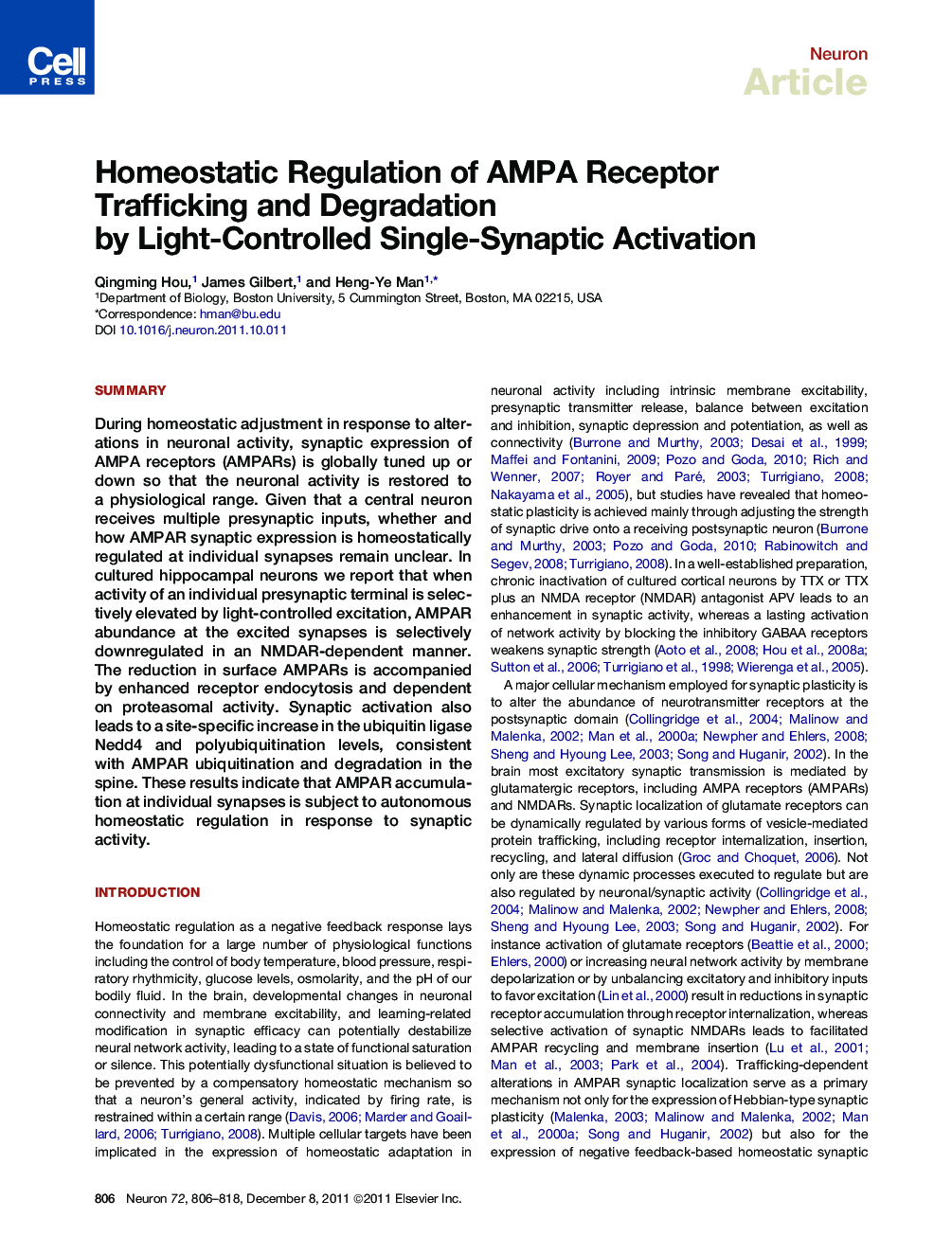 Homeostatic Regulation of AMPA Receptor Trafficking and Degradation by Light-Controlled Single-Synaptic Activation