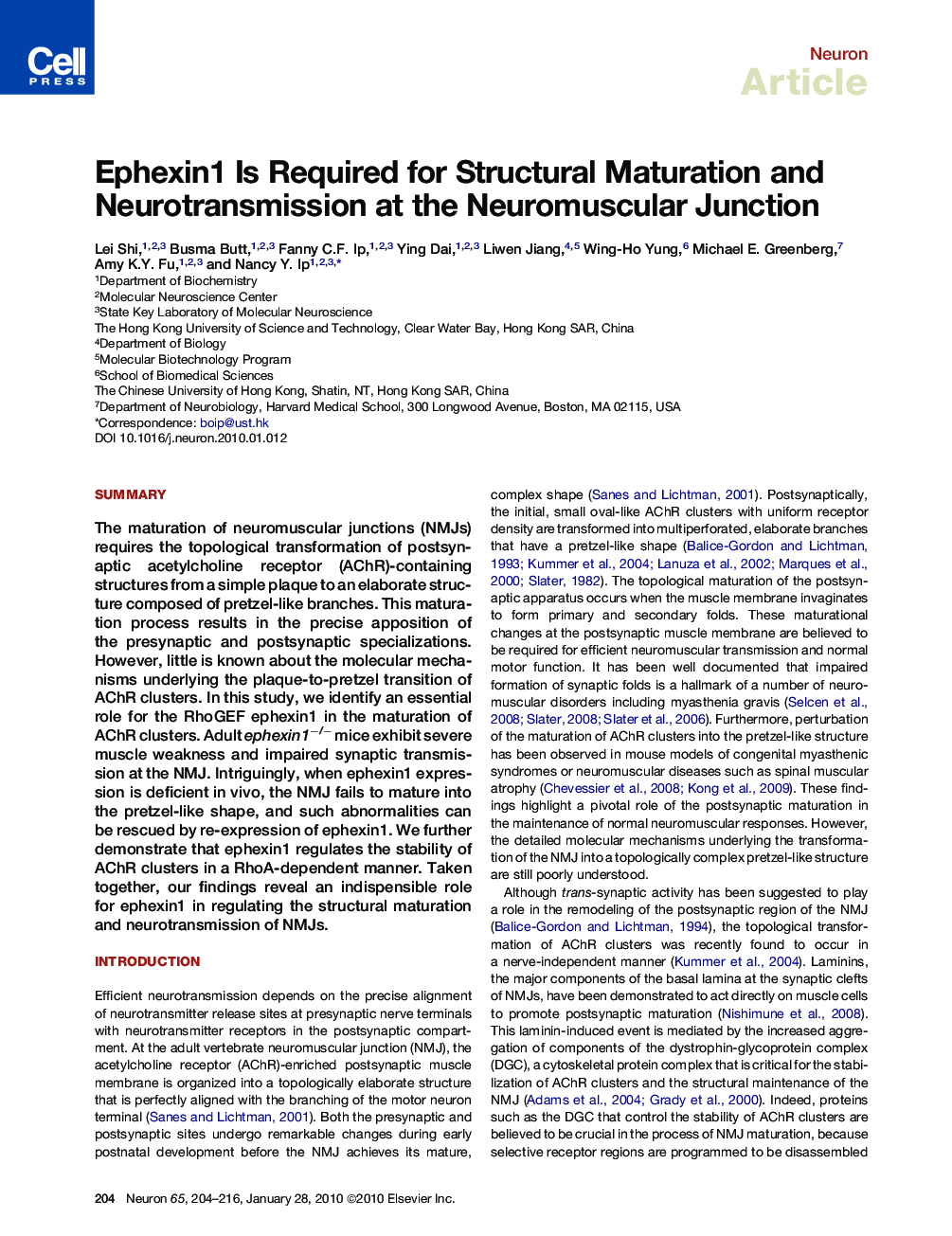 Ephexin1 Is Required for Structural Maturation and Neurotransmission at the Neuromuscular Junction