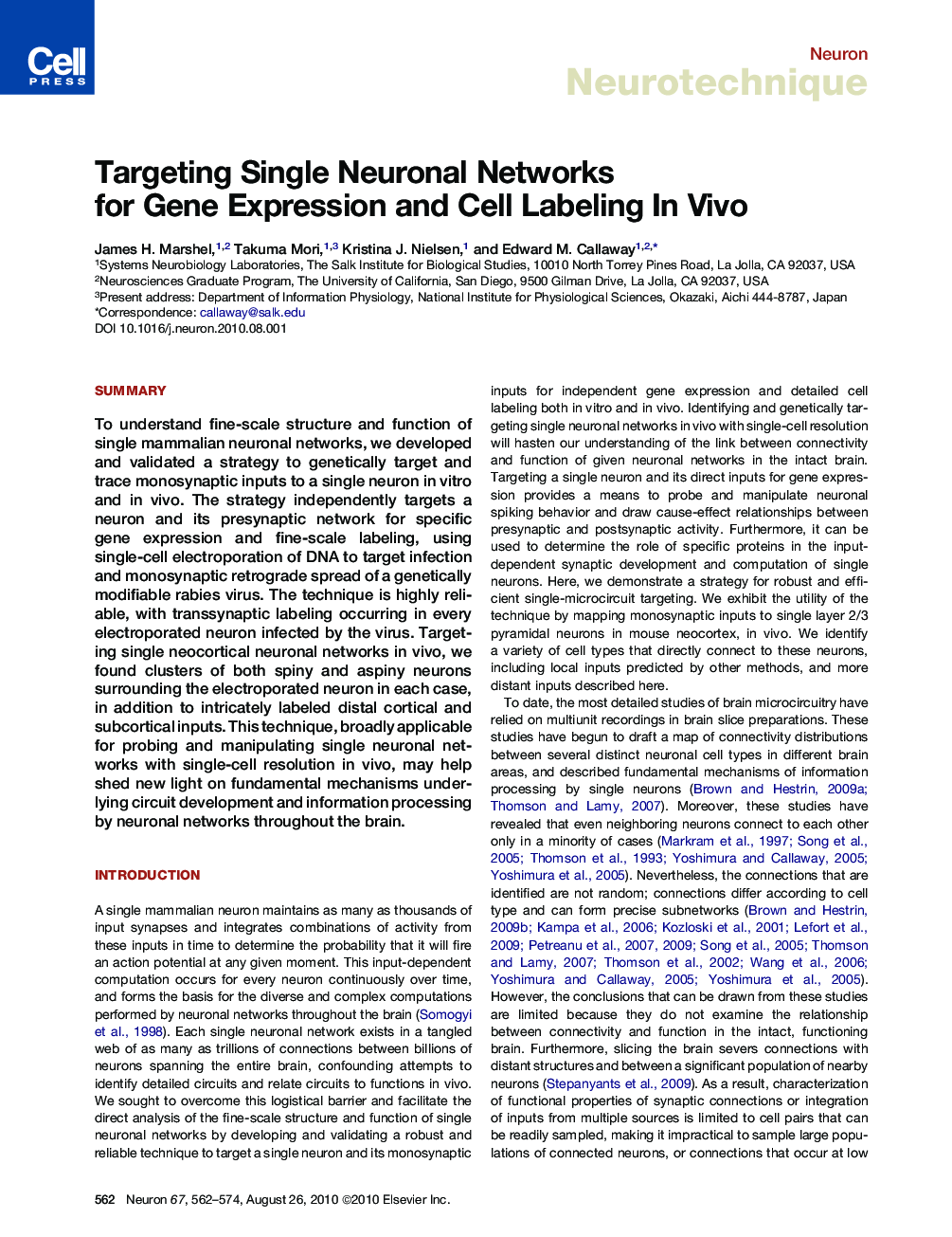 Targeting Single Neuronal Networks for Gene Expression and Cell Labeling In Vivo