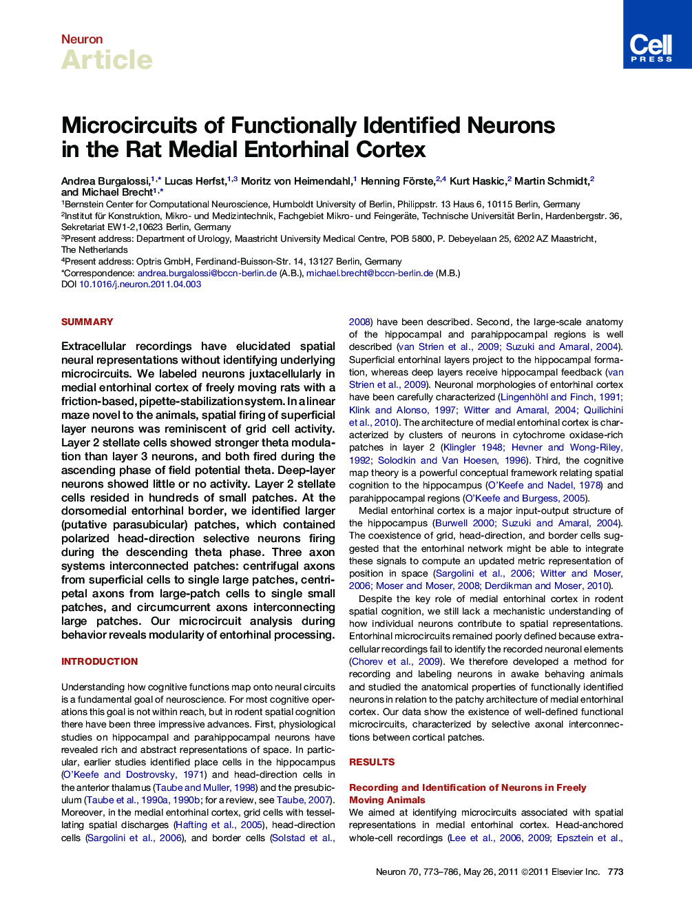 Microcircuits of Functionally Identified Neurons in the Rat Medial Entorhinal Cortex