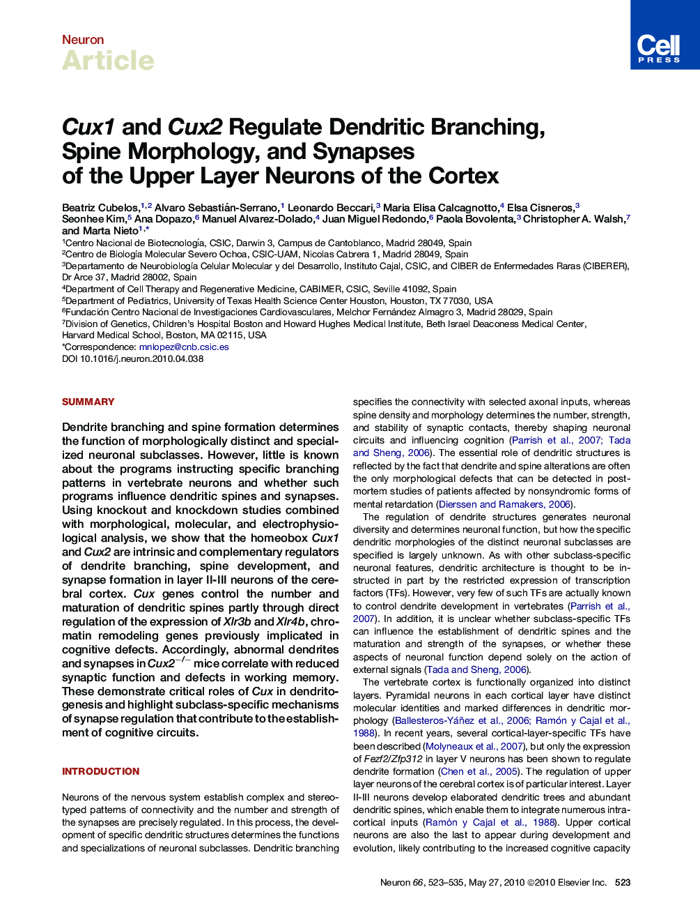 Cux1 and Cux2 Regulate Dendritic Branching, Spine Morphology, and Synapses of the Upper Layer Neurons of the Cortex