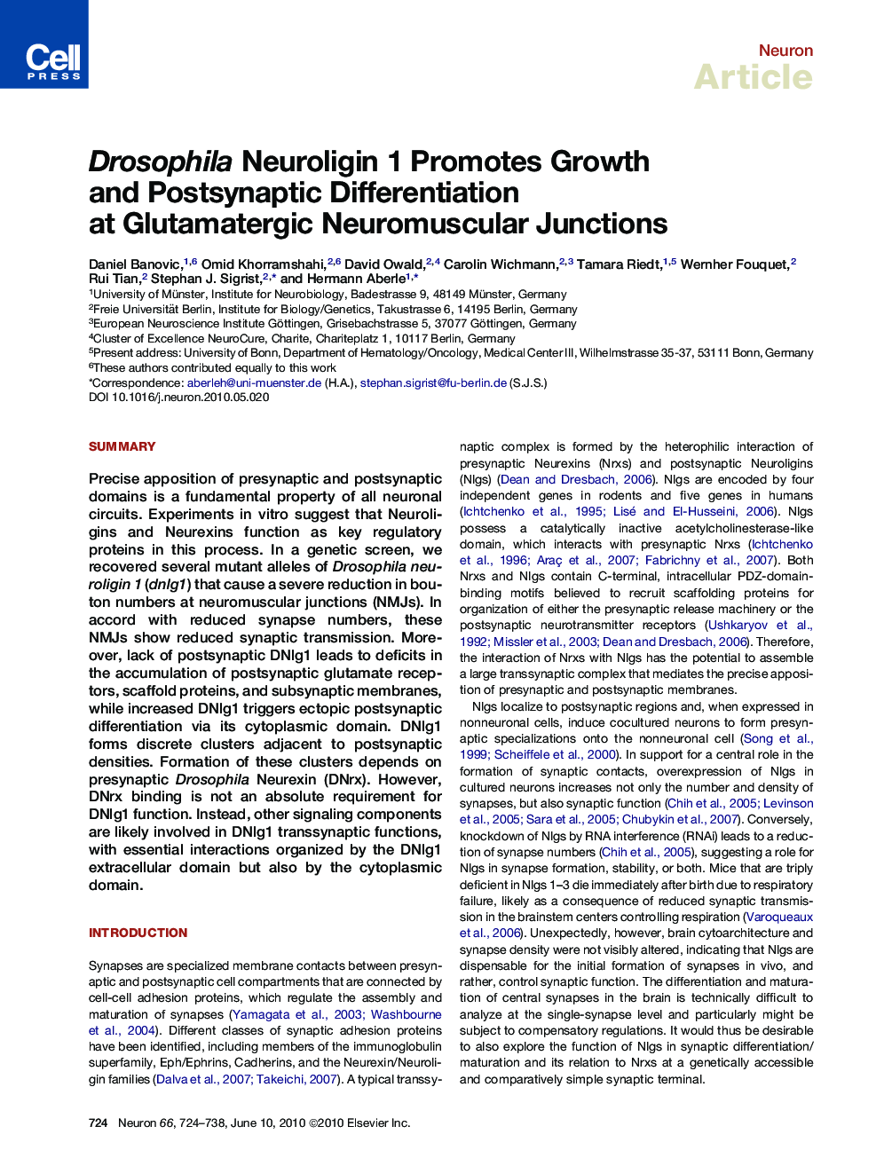 Drosophila Neuroligin 1 Promotes Growth and Postsynaptic Differentiation at Glutamatergic Neuromuscular Junctions