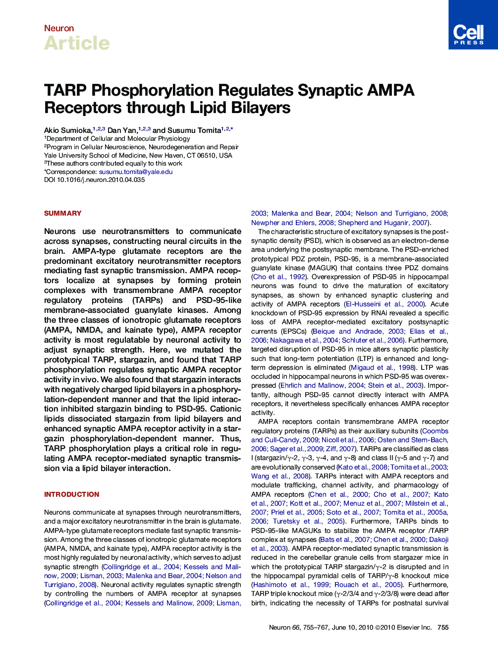TARP Phosphorylation Regulates Synaptic AMPA Receptors through Lipid Bilayers