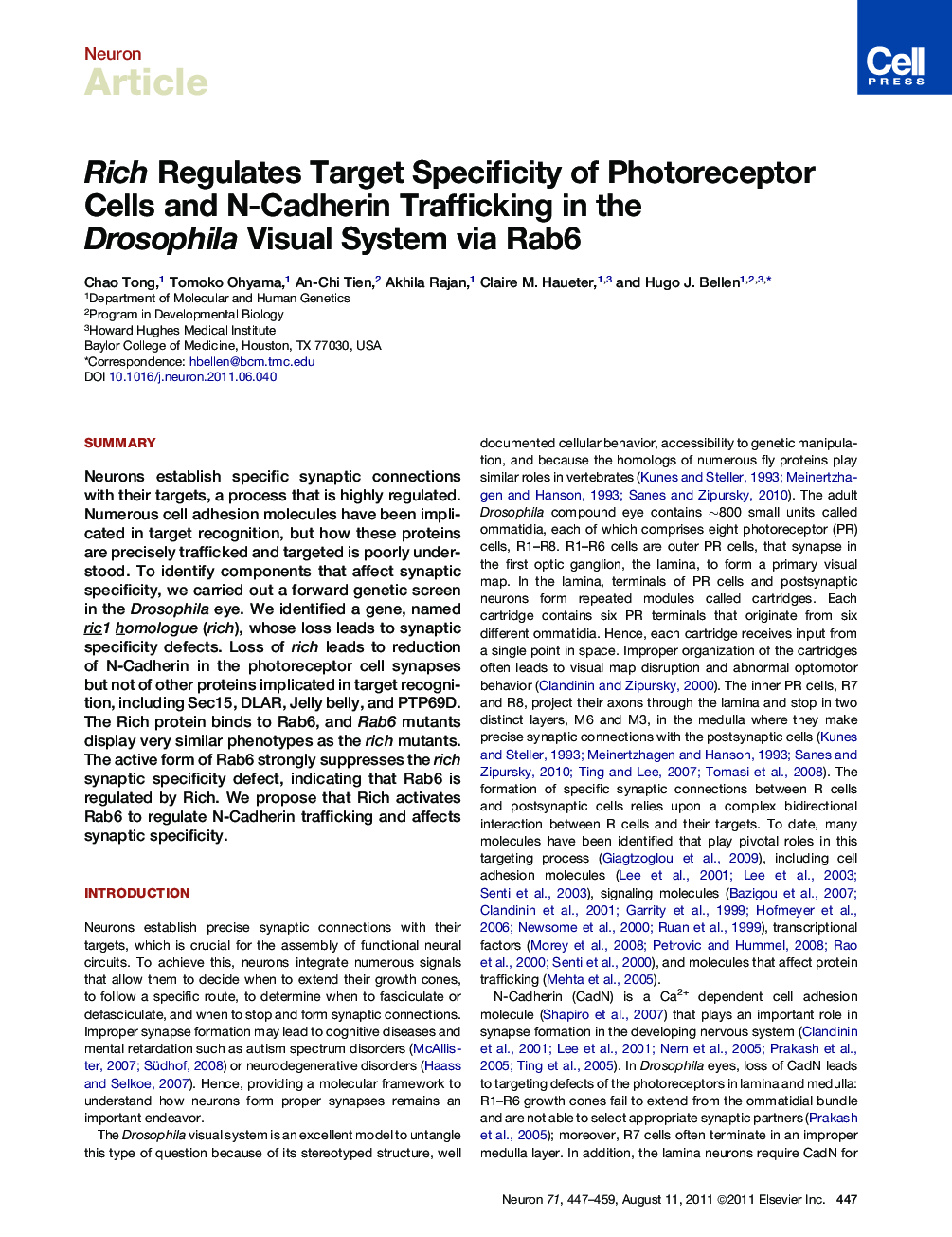 Rich Regulates Target Specificity of Photoreceptor Cells and N-Cadherin Trafficking in the Drosophila Visual System via Rab6